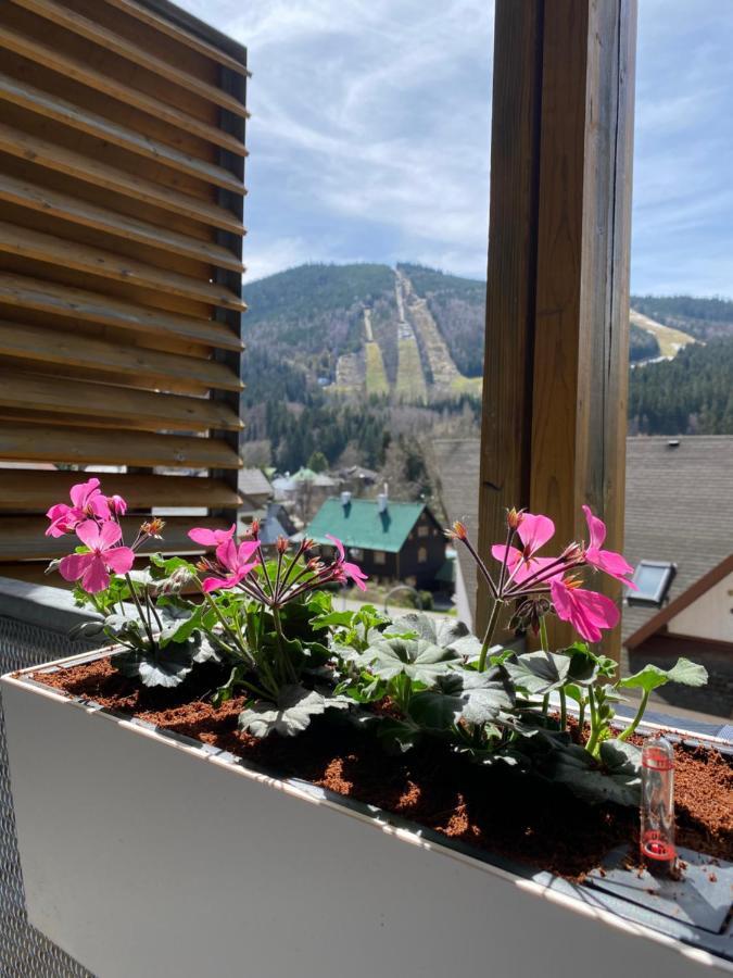 Luxusni Apartman U Sjezdovek S Garazi Harrachov Dış mekan fotoğraf