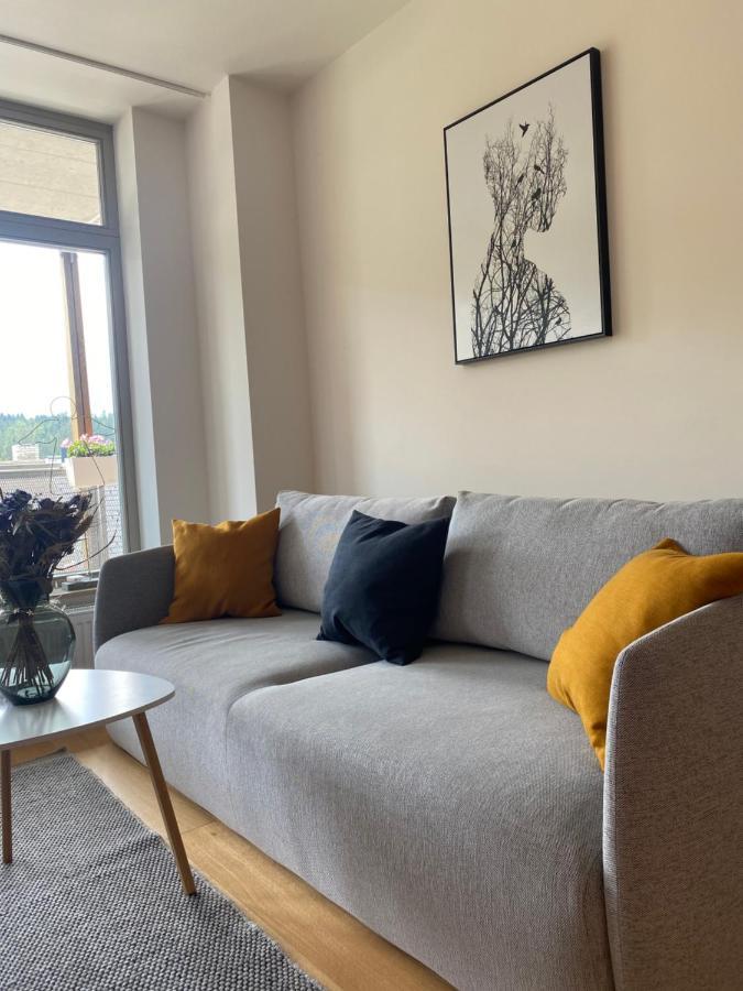 Luxusni Apartman U Sjezdovek S Garazi Harrachov Dış mekan fotoğraf